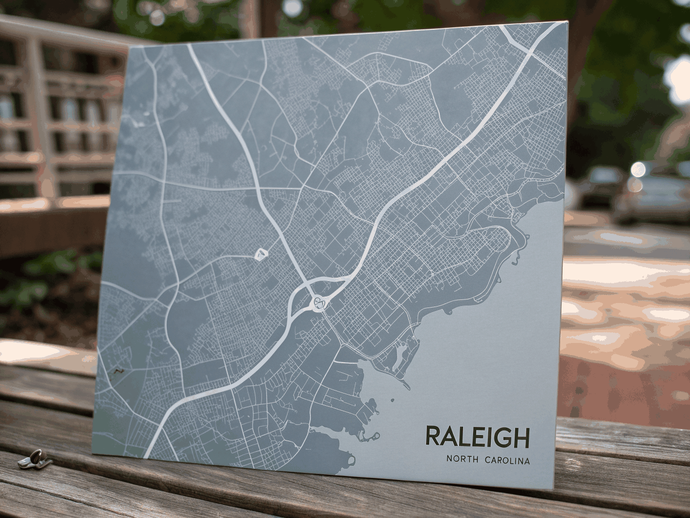 Map of the Raleigh, NC pest control service area